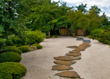 Enlarge photo 110