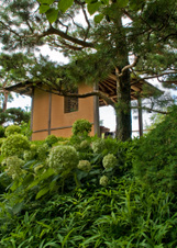 Enlarge photo 112