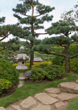 Enlarge photo 113