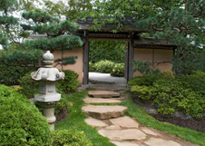 Enlarge photo 114