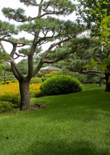 Enlarge photo 116