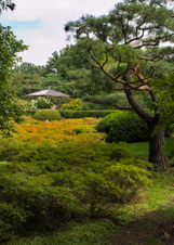 Enlarge photo 117