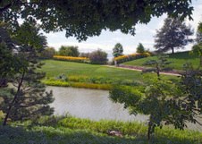 Enlarge photo 119