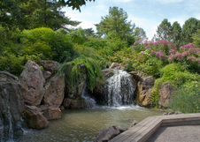 Enlarge photo 120