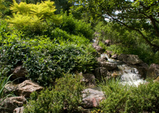 Enlarge photo 121