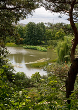 Enlarge photo 123
