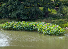 Enlarge photo 124