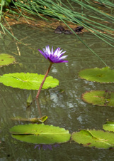 Enlarge photo 126
