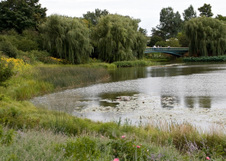Enlarge photo 140