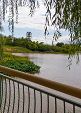 Enlarge photo 143