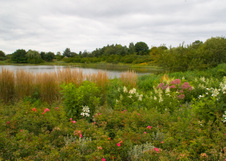 Enlarge photo 149