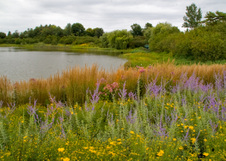 Enlarge photo 150