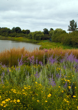 Enlarge photo 151