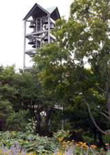 Enlarge photo 152