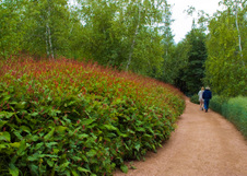 Enlarge photo 159