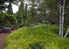 Enlarge photo 162