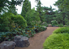 Enlarge photo 163