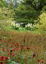 Enlarge photo 165