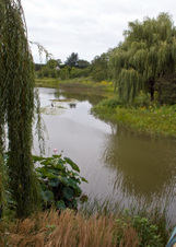 Enlarge photo 167