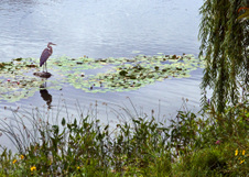 Enlarge photo 168