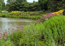 Enlarge photo 176