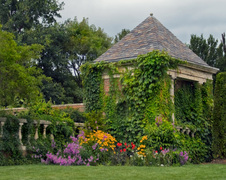 Enlarge photo 80