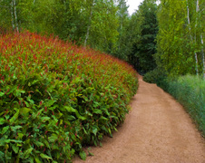 Enlarge photo 82