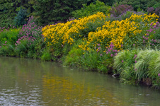 Enlarge photo 23