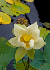Enlarge photo 27
