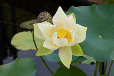 Enlarge photo 28