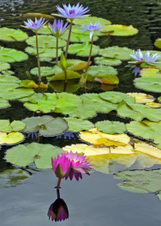 Enlarge photo 33