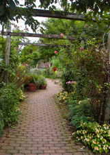 Enlarge photo 35
