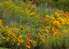 Enlarge photo 39