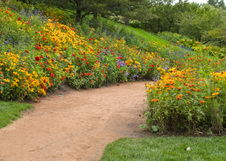 Enlarge photo 46
