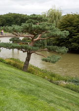 Enlarge photo 51