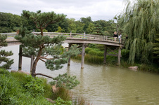 Enlarge photo 52