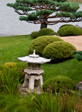 Enlarge photo 54