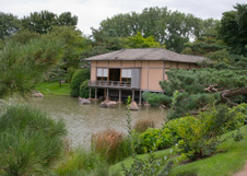 Enlarge photo 57