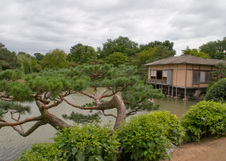Enlarge photo 58
