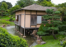 Enlarge photo 59