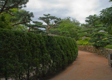 Enlarge photo 60