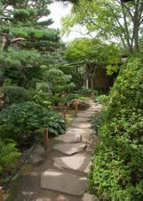 Enlarge photo 61
