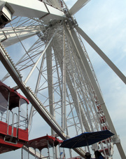 Enlarge photo 48