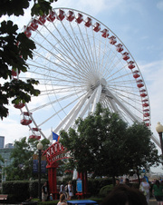 Enlarge photo 49