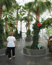 Enlarge photo 55