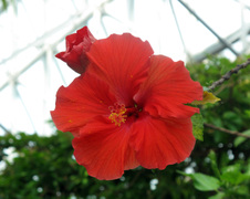 Enlarge photo 56