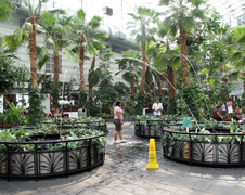 Enlarge photo 57
