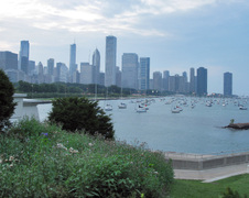 Enlarge photo 81
