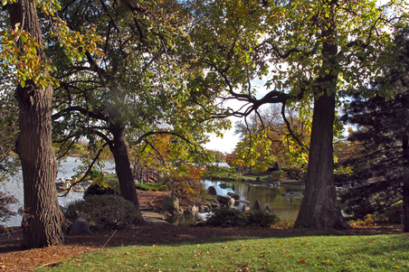 Enlarge photo 127