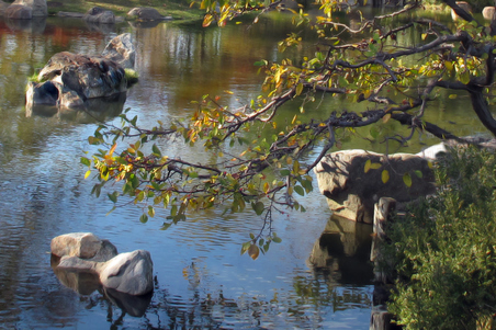 Enlarge photo 132